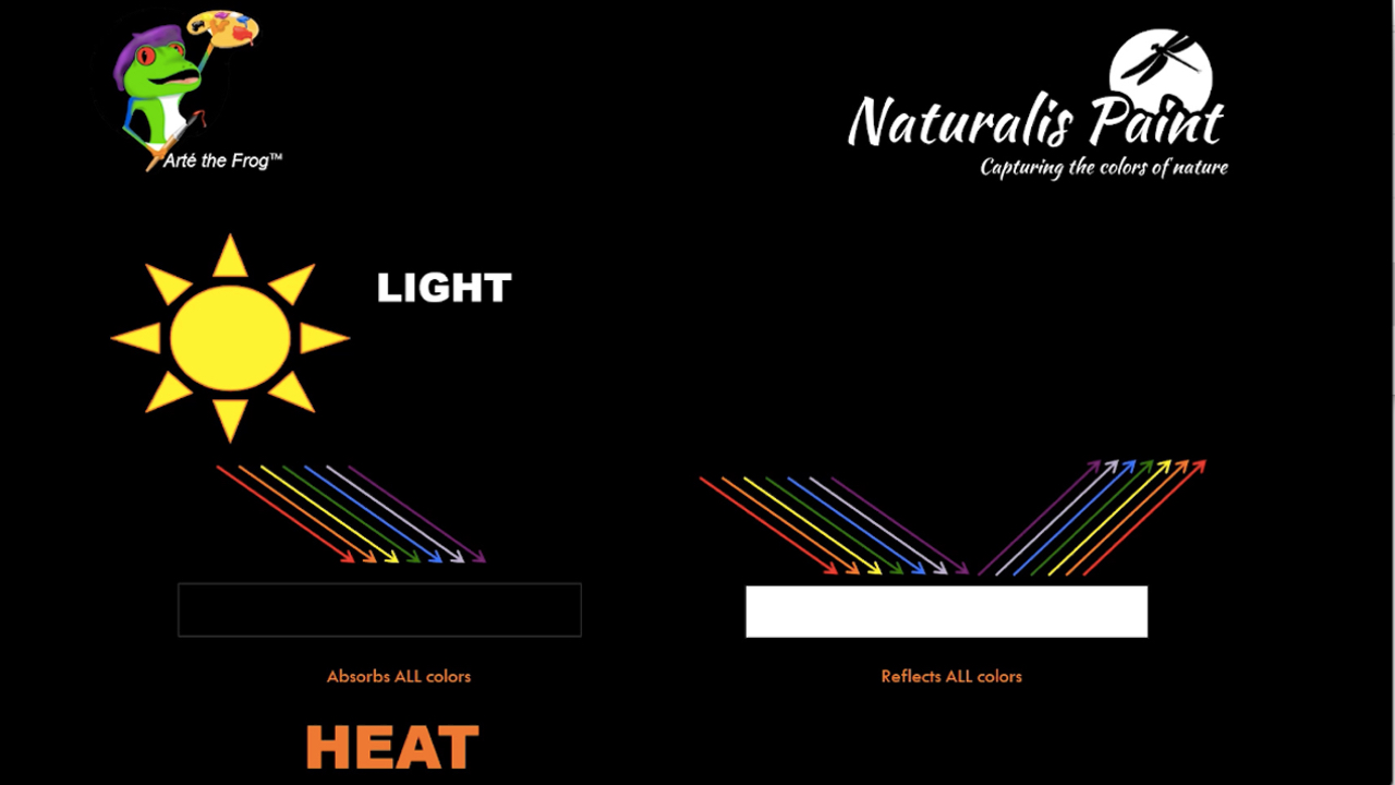  Naturalis Paint Color-Changing & Special Effect Water