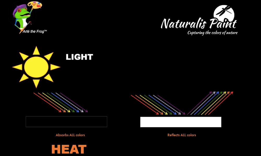 Two illustrations show the behavior of light on different surfaces. On the left, a black surface absorbs all colors and converts them into heat. On the right, a white surface reflects all colors.